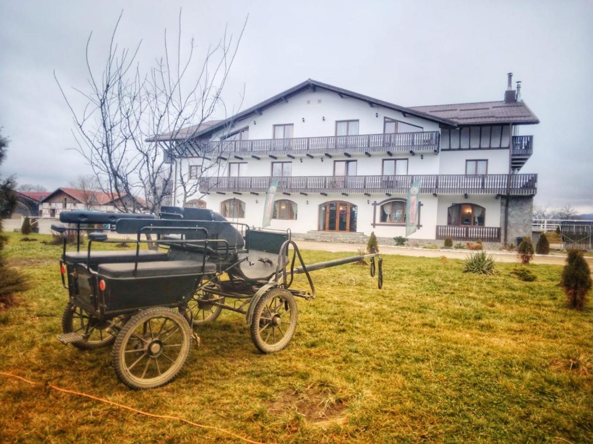 Complex Panicel Rîşnov Exterior foto